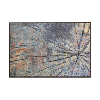 Tree Stump Rings Framed Canvas Rustic Art Print