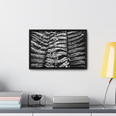 Black and White Fern Framed Canvas Art Print