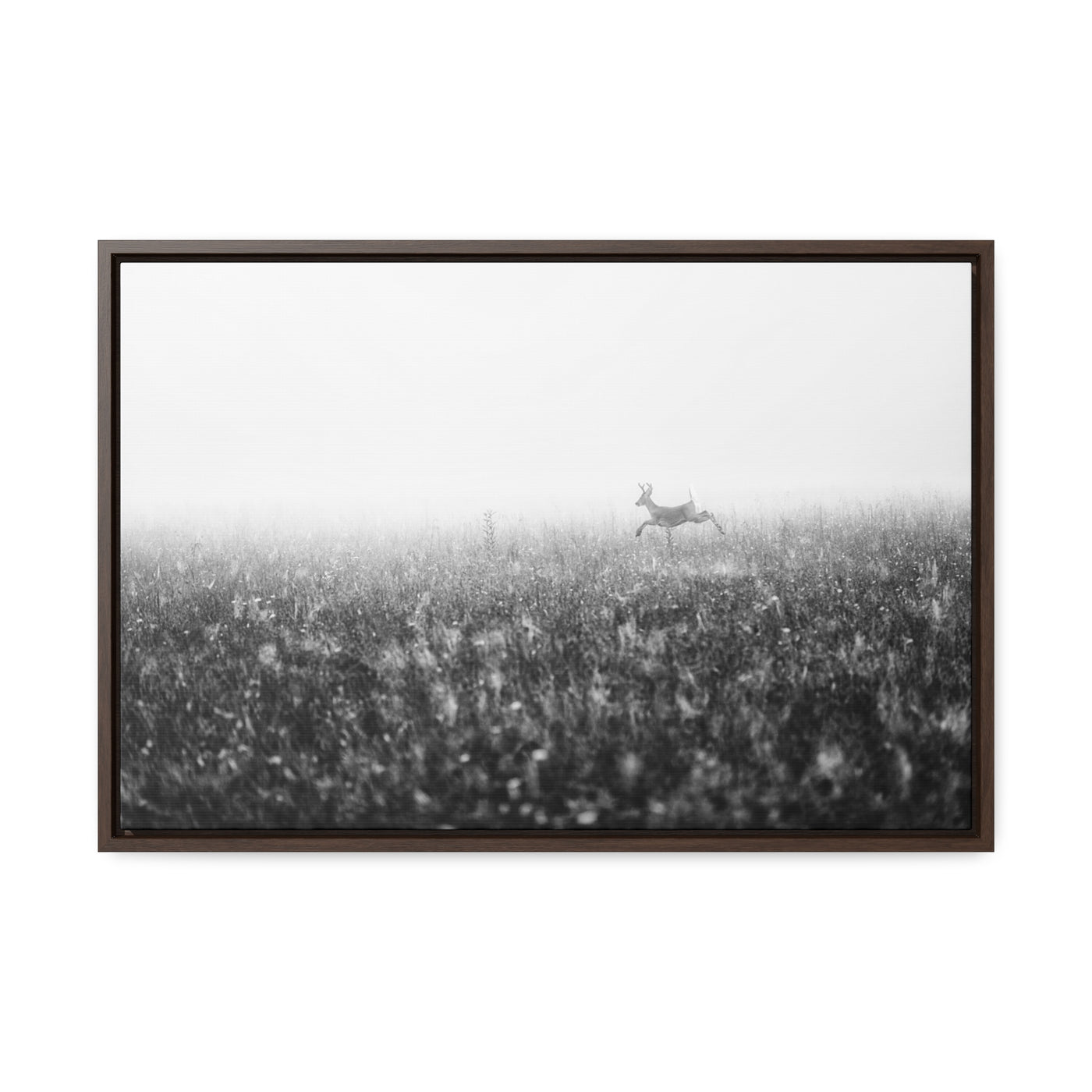 Whitetail Buck Jumping Black and White Framed Canvas Art