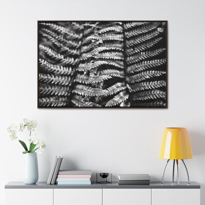 Black and White Fern Framed Canvas Art Print