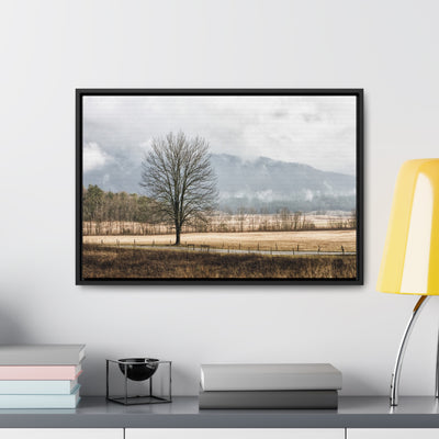 Winter Tree in a Field Framed Canvas Art Print