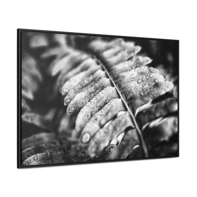 Black and White Fern Framed Canvas Wall Art Print