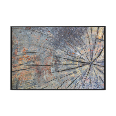 Tree Stump Rings Rustic Art Print