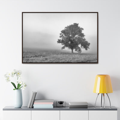 Tree in a Foggy Field Black and White Framed Canvas Print