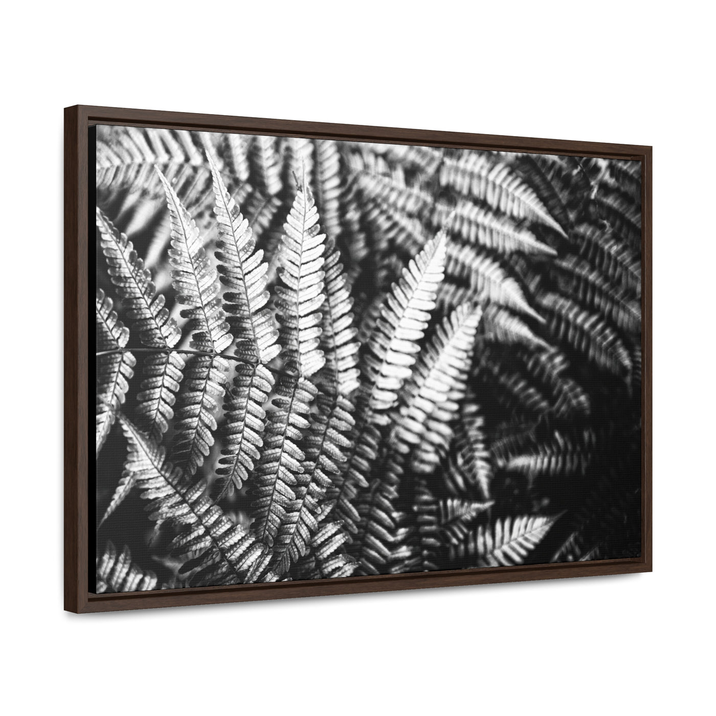 Black and White Ferns Framed Canvas Art Print - Calming Spa-Inspired Decor