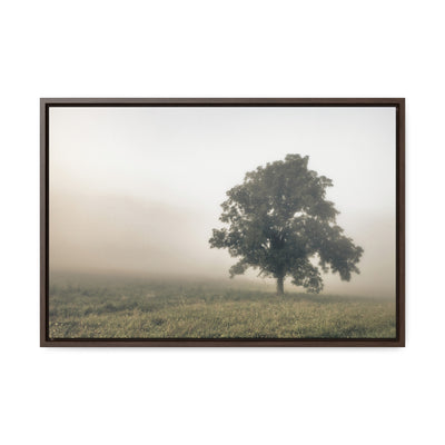 Tree in a Field Framed Canvas Wall Art Print