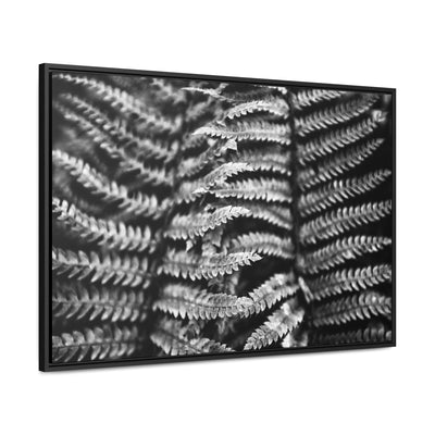 Black and White Fern Framed Canvas Art Print