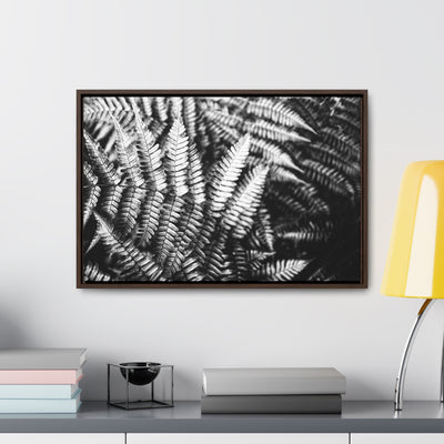 Black and White Ferns Framed Canvas Art Print - Calming Spa-Inspired Decor