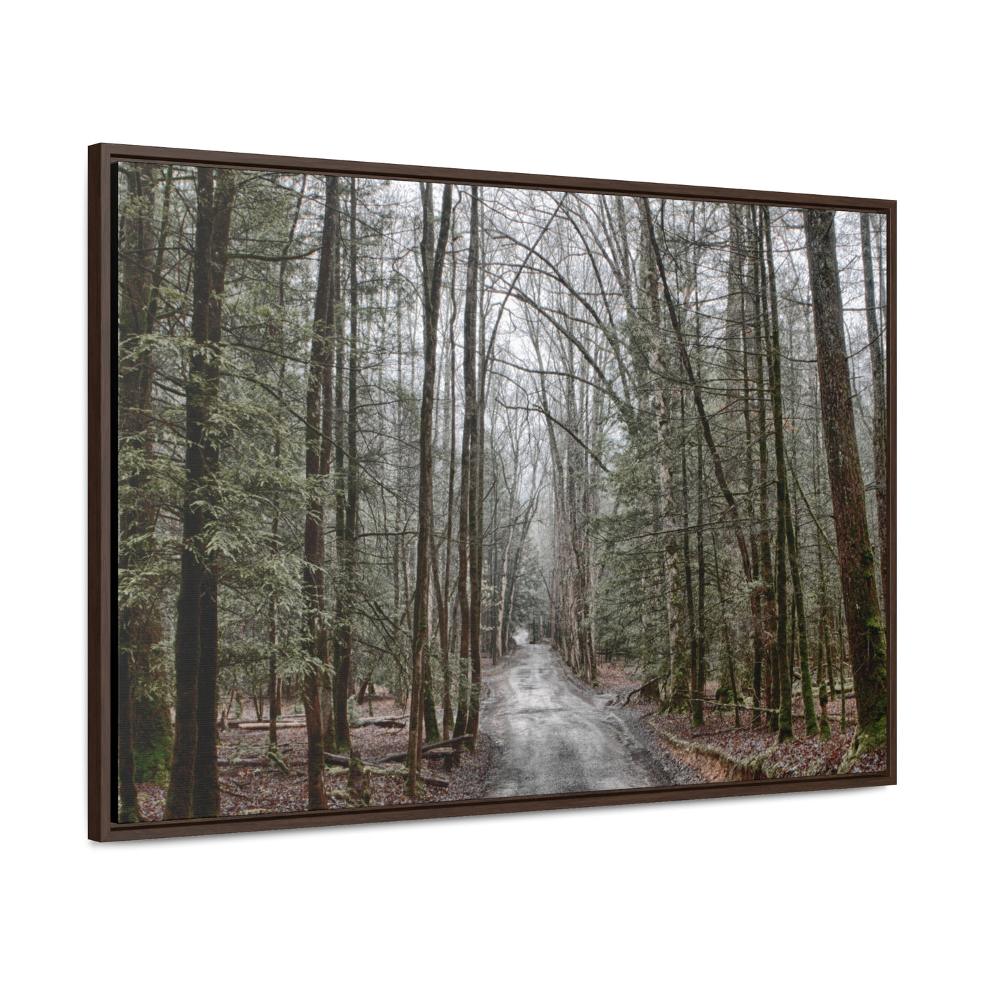 Mountain Road Framed Canvas Art