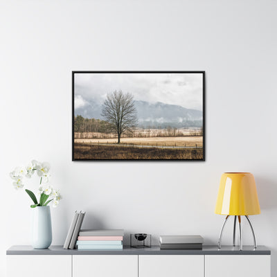 Winter Tree in a Field Framed Canvas Art Print