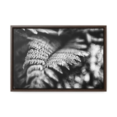 Black and White Fern Framed Canvas Art Prints