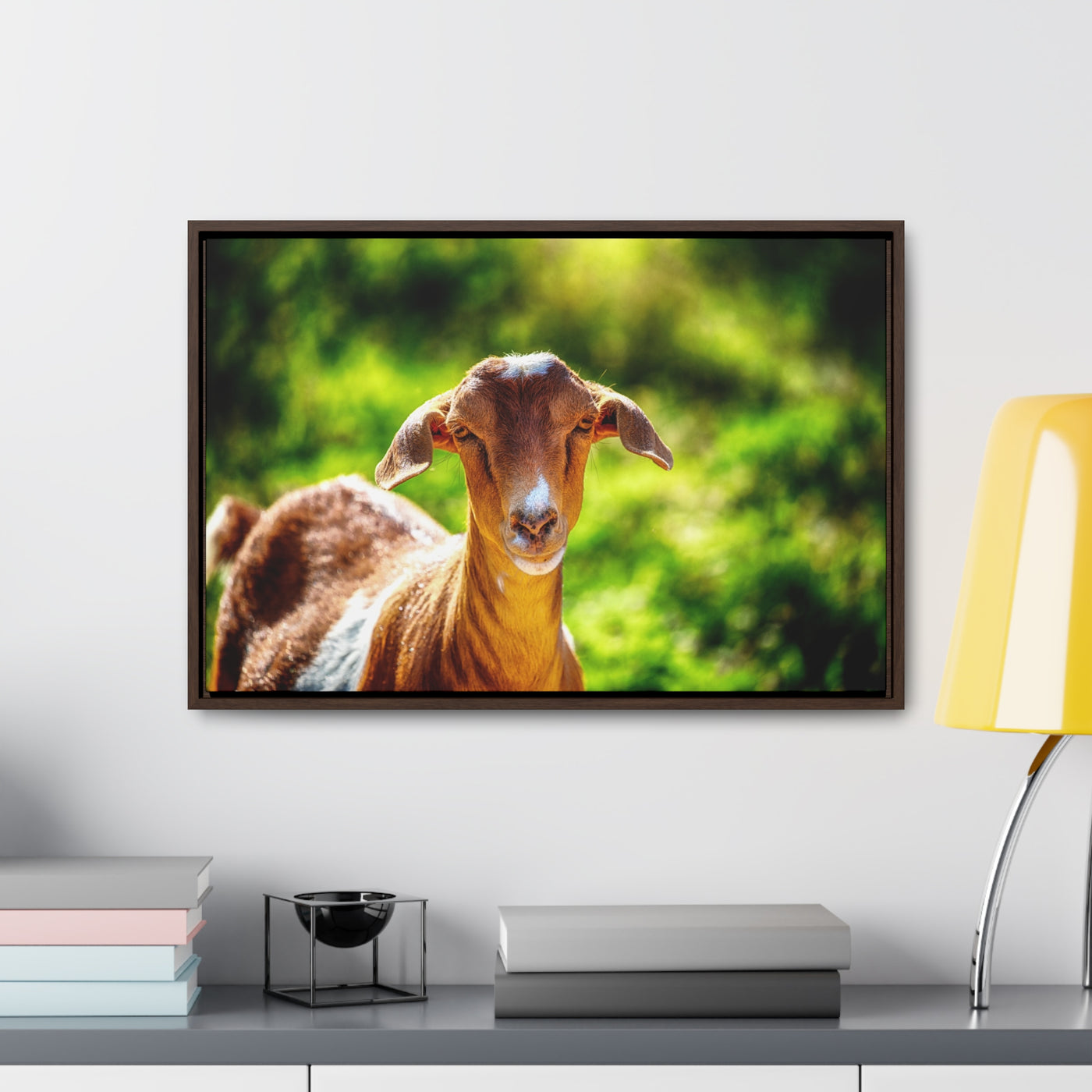 Framed Canvas Goat Art Print