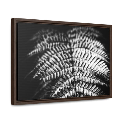 Relaxing Spa Art Black and White Fern Framed Canvas