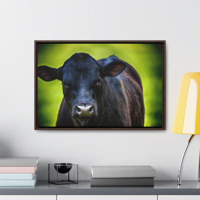 Framed Cow Wall Art