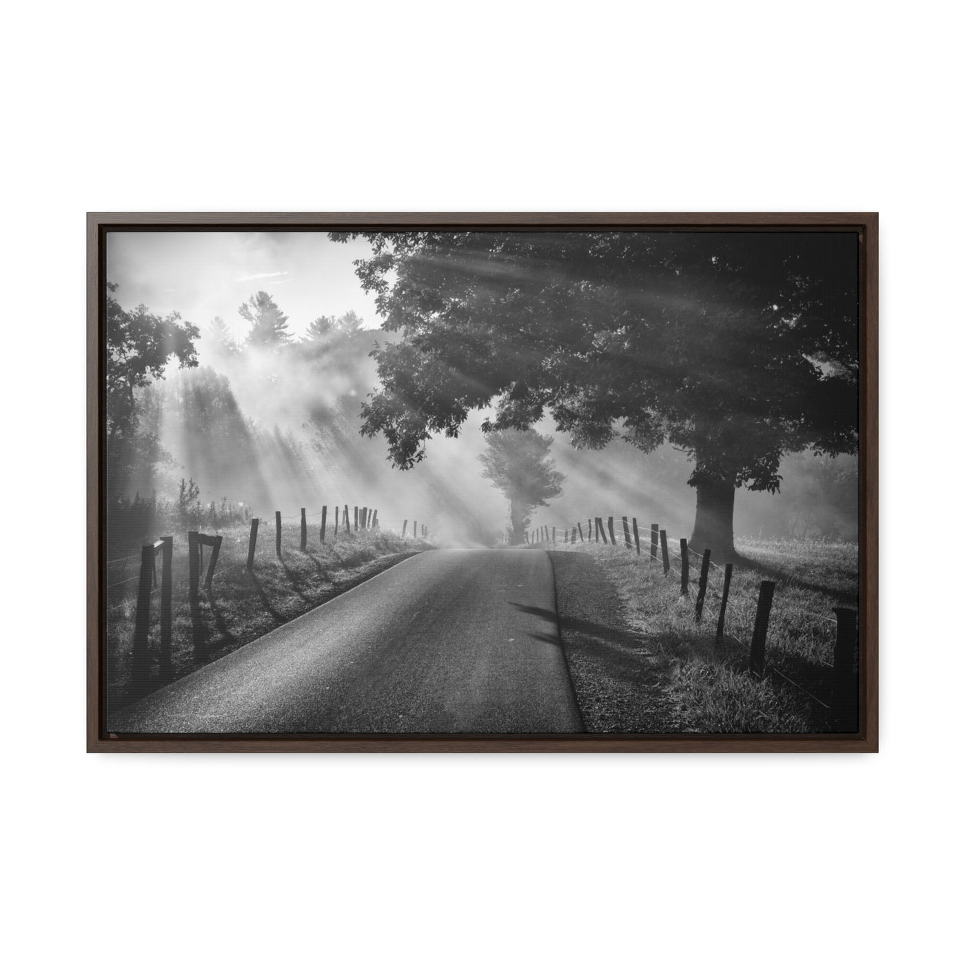 Old Country Road Black and White Framed Canvas Art