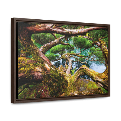 Tree by a Pond Rustic Farmhouse Decor Framed Canvas Art Print