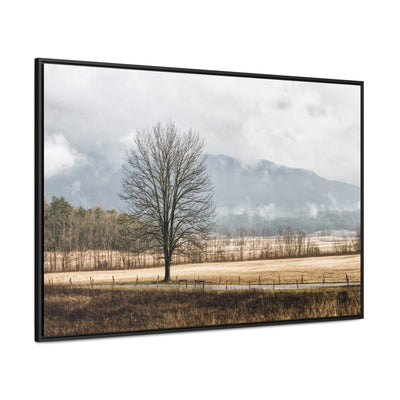 Winter Tree in a Field Framed Canvas Art Print