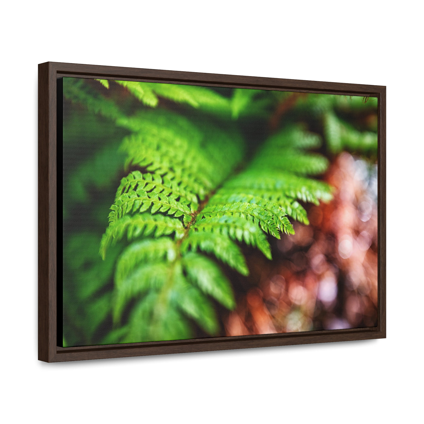 Fern Relaxing Framed Canvas Wall Art