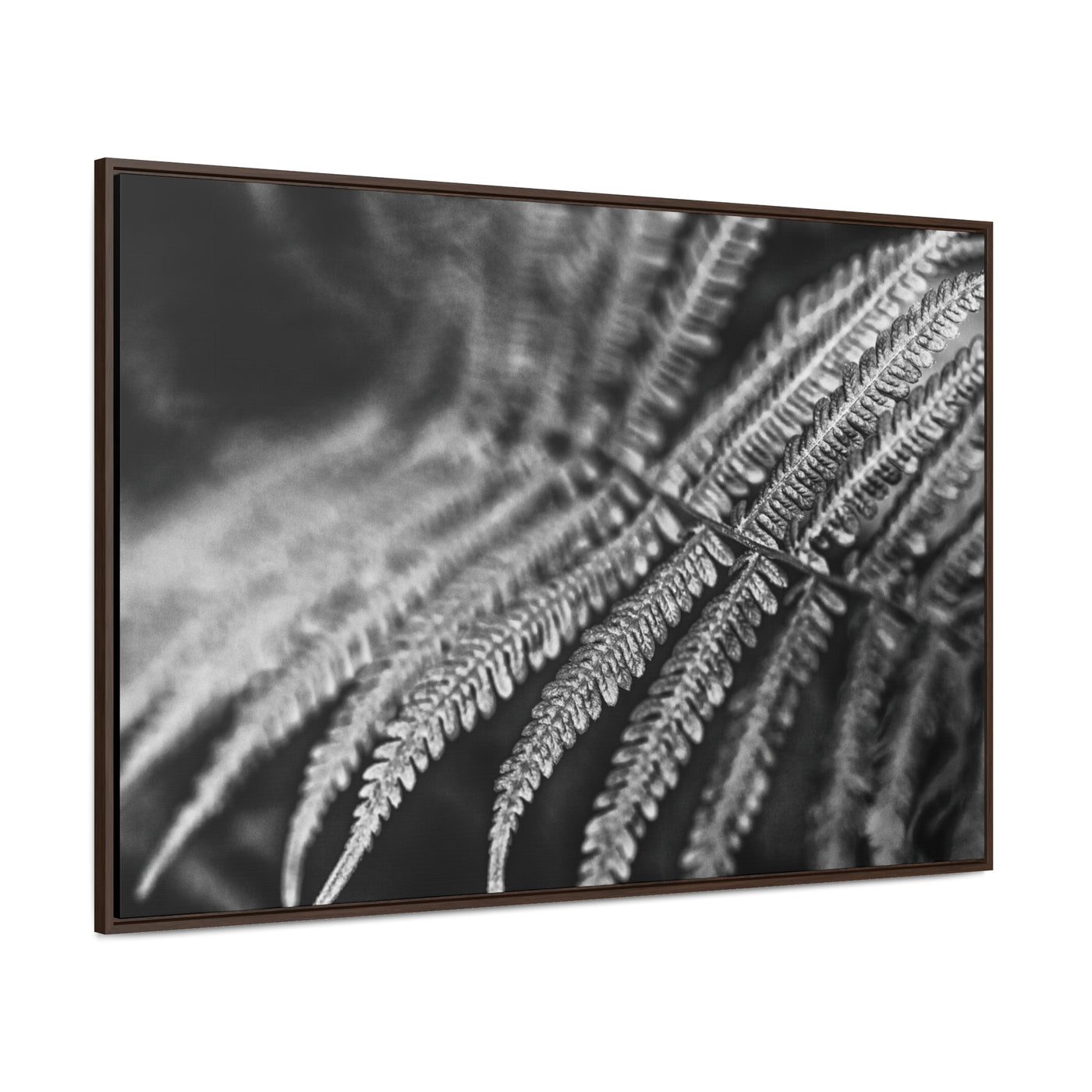 Relaxing Art Black and White Fern Framed Canvas Print