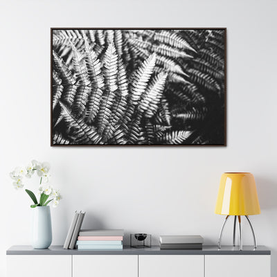 Black and White Ferns Framed Canvas Art Print - Calming Spa-Inspired Decor