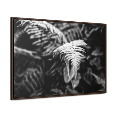 Calming Fern Art Framed Canvas Wrap