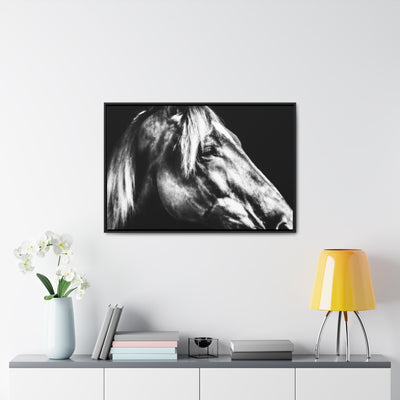 Black and White Horse Art Framed Canvas Wrap