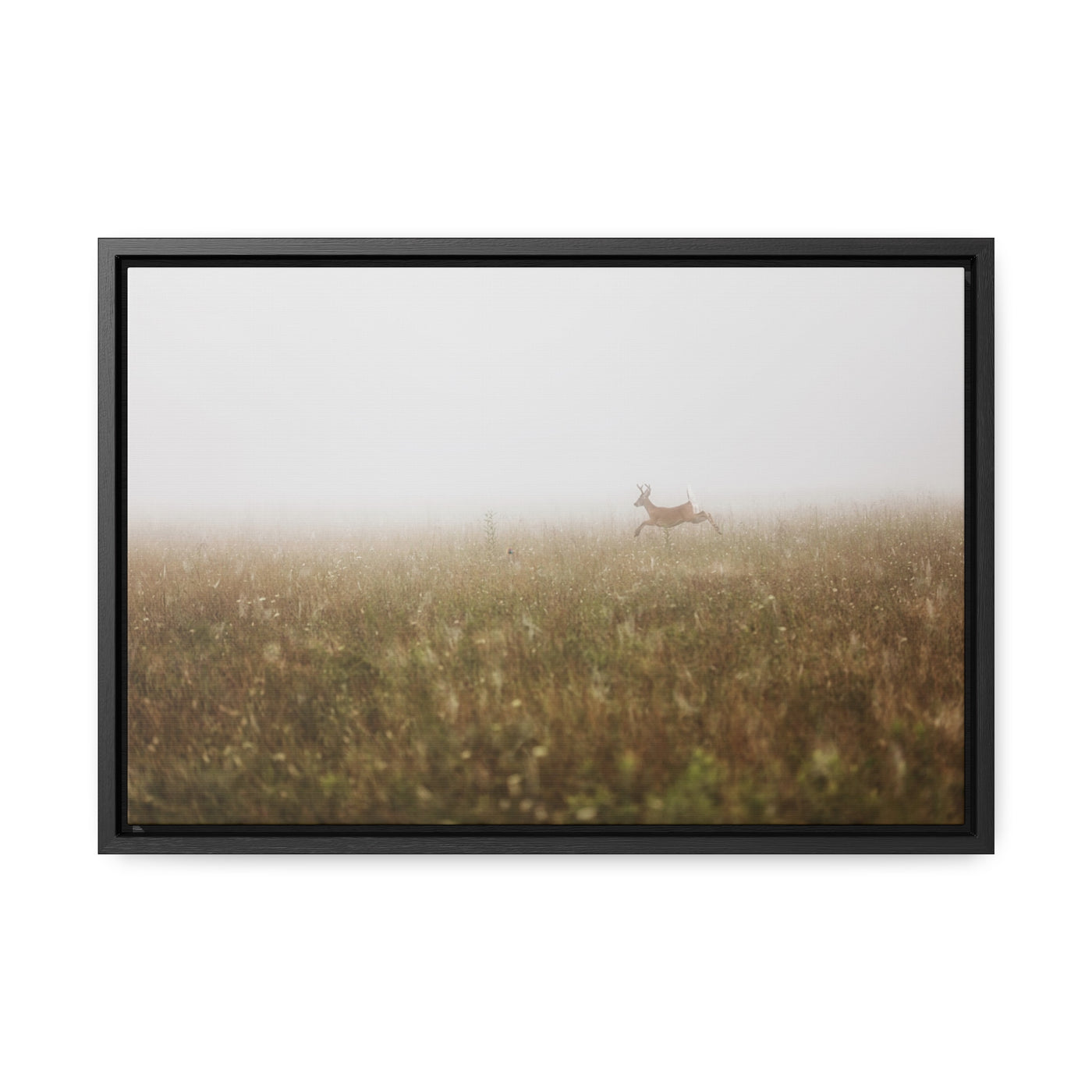 Whitetail Buck Jumping Framed Canvas Art Print