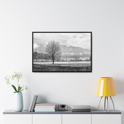 Black and White Tree and Country Road Framed Canvas Art Print