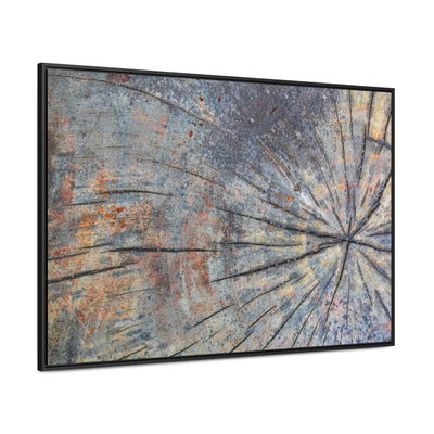 Tree Stump Rings Framed Canvas Rustic Art Print