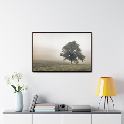 Tree in a Field Framed Canvas Wall Art Print