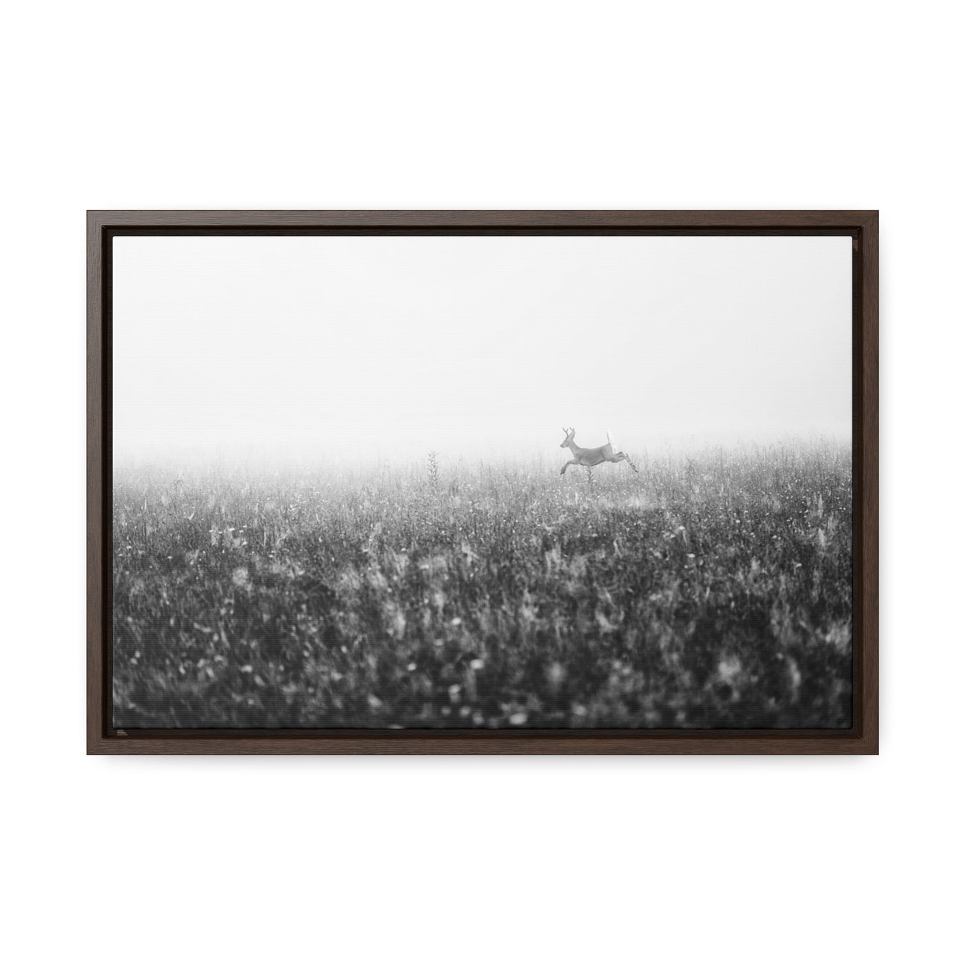 Whitetail Buck Jumping Black and White Framed Canvas Art