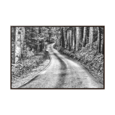 Black and White Mountain Road Framed Canvas Art Print