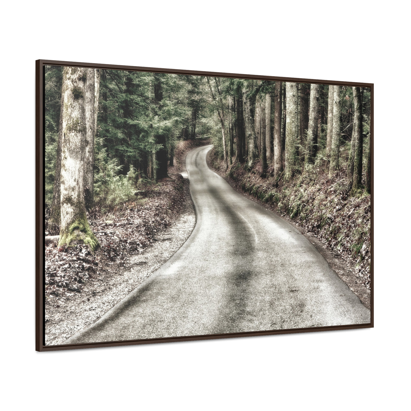 Rustic Mountain Road Framed Canvas Art Print