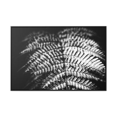 Relaxing Spa Art Black and White Fern Framed Canvas