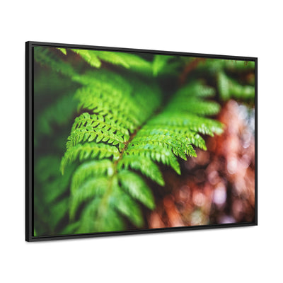 Fern Relaxing Framed Canvas Wall Art