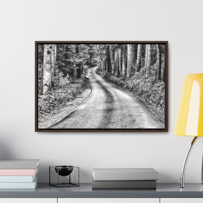 Black and White Mountain Road Framed Canvas Art Print