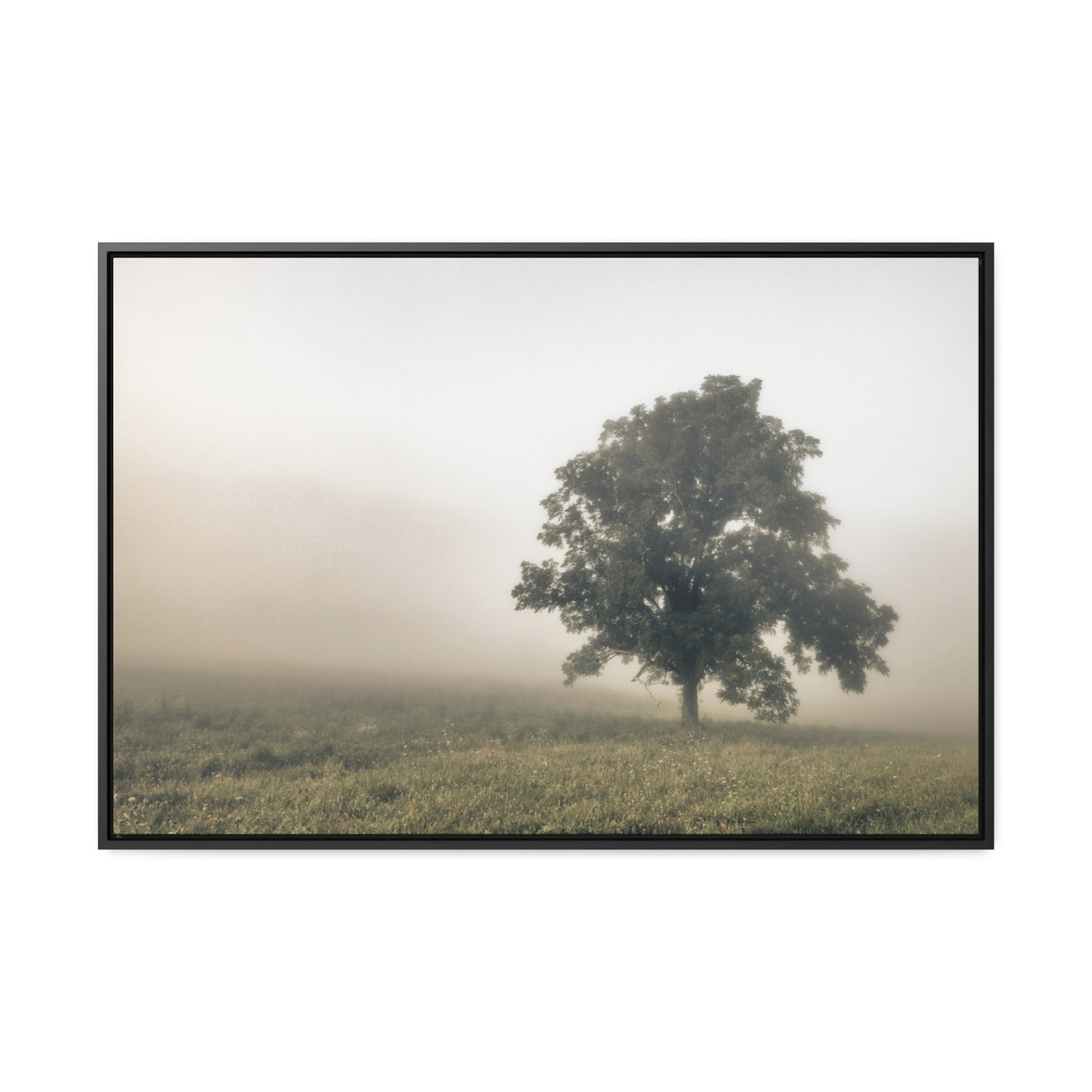 Tree in a Field Framed Canvas Wall Art Print