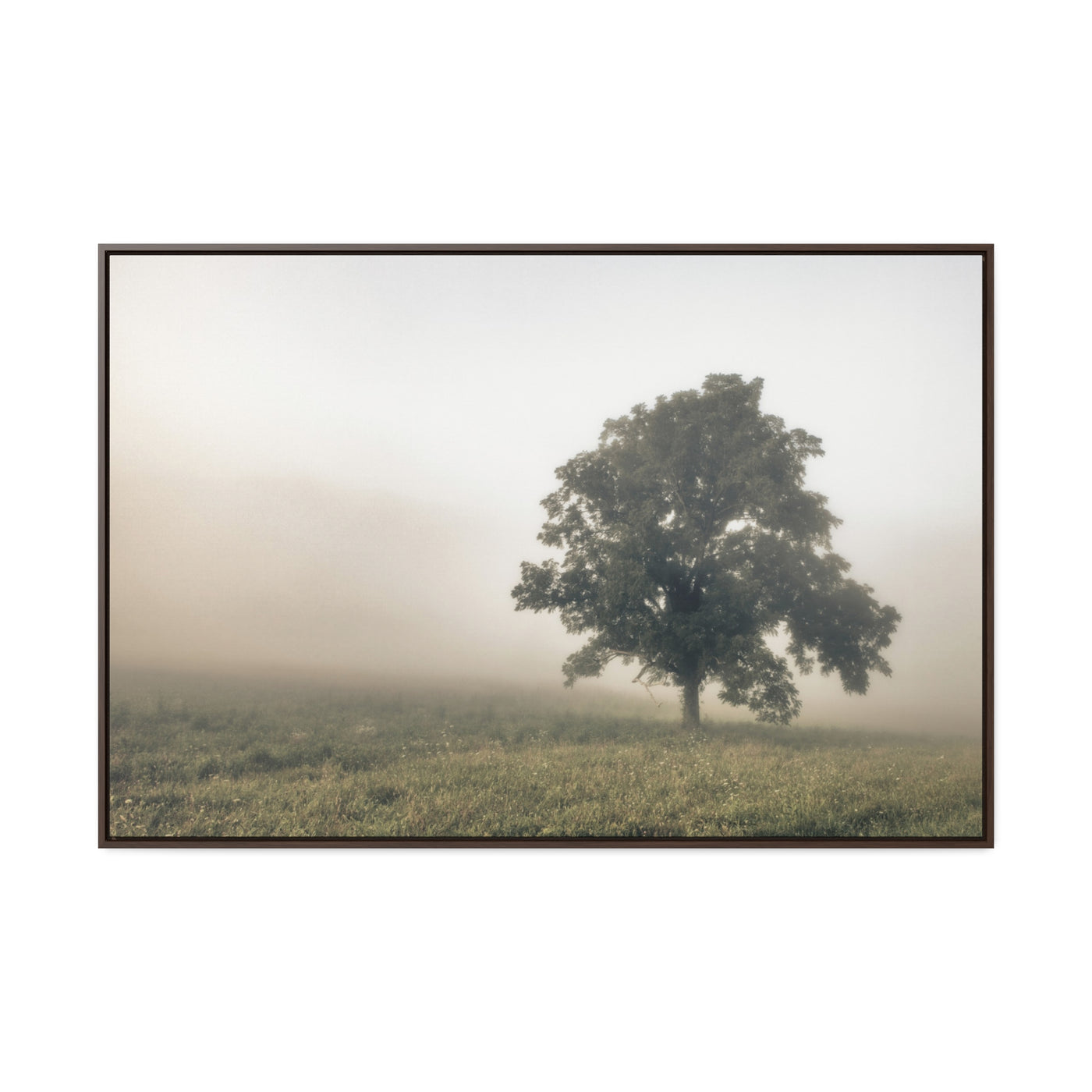 Tree in a Field Framed Canvas Wall Art Print