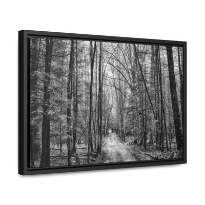 Dirt Road Black and White Framed Canvas Wrap