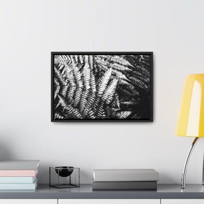 Black and White Ferns Framed Canvas Art Print - Calming Spa-Inspired Decor