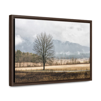 Winter Tree in a Field Framed Canvas Art Print