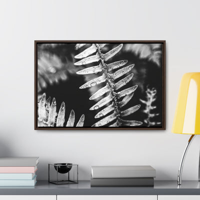 Calming Artwork - Black and White Fern Framed Canvas Art Print