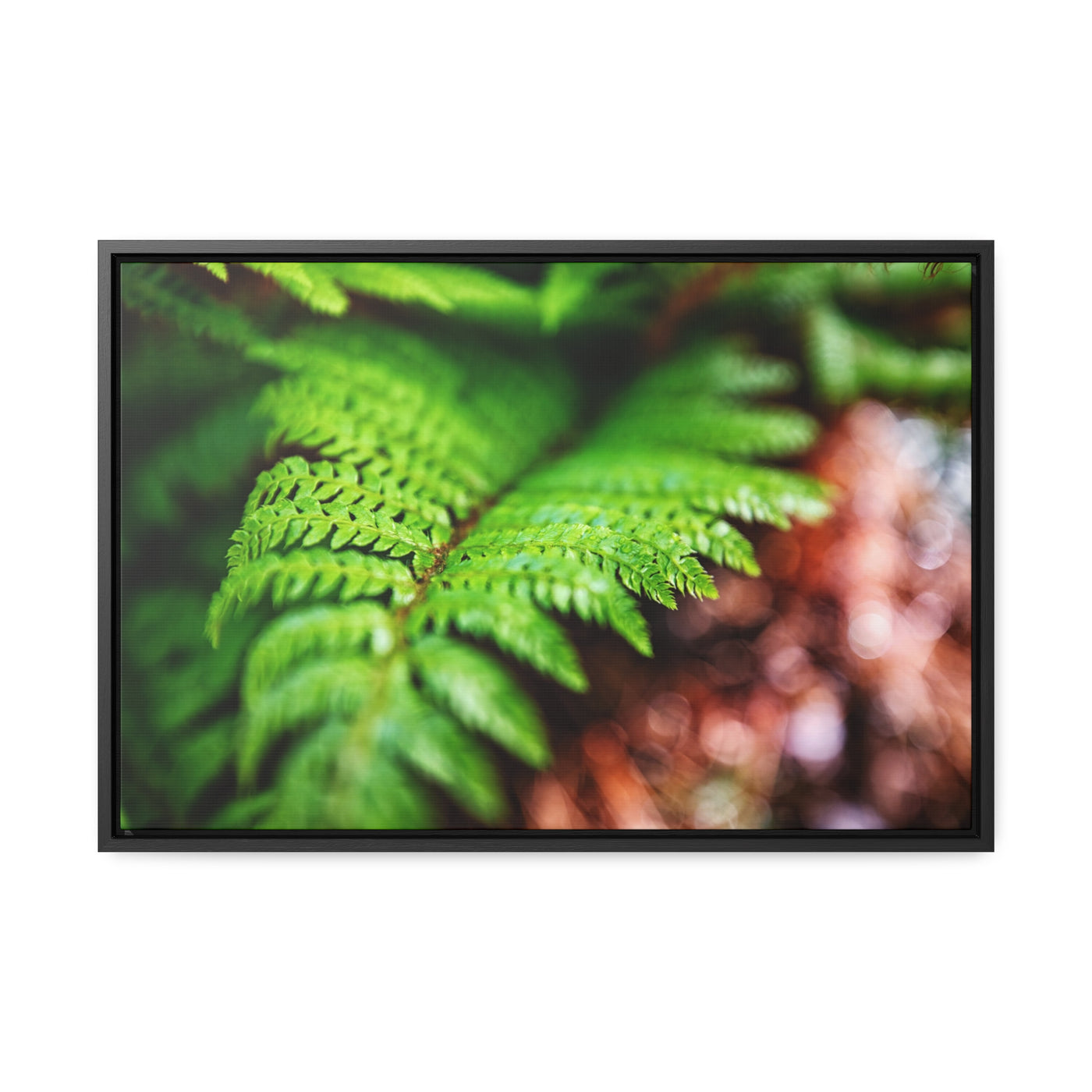 Fern Relaxing Framed Canvas Wall Art