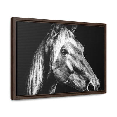 Black and White Horse Art Framed Canvas Print