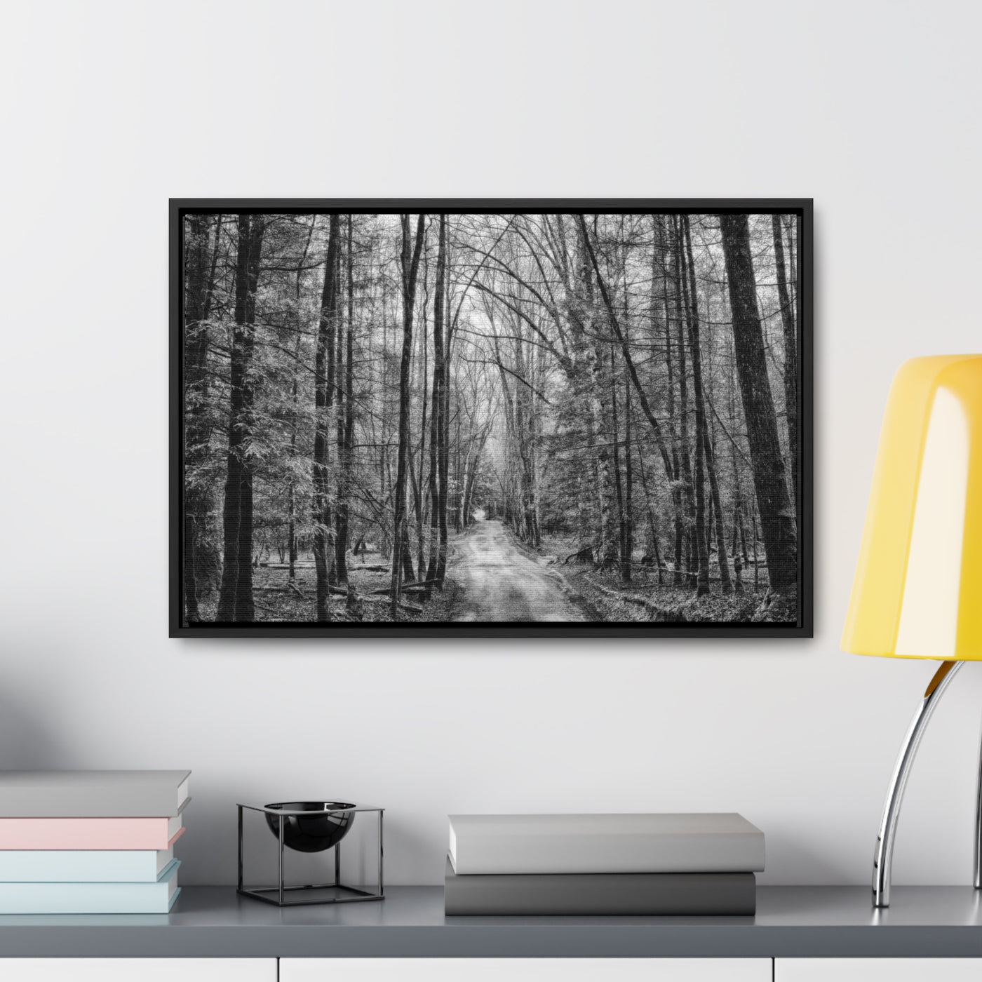 Dirt Road Black and White Framed Canvas Wrap