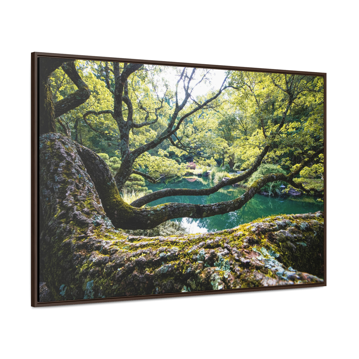 Flowing Tree Branches by a Pond Framed Canvas Art Print