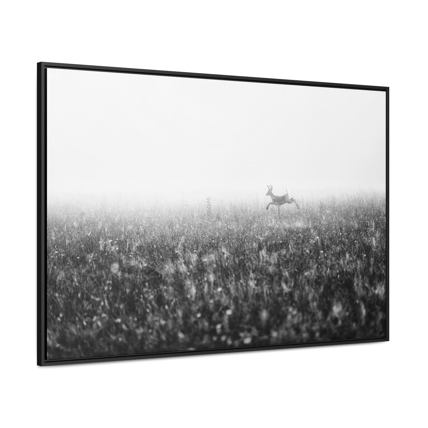 Whitetail Buck Jumping Black and White Framed Canvas Art