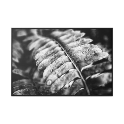 Black and White Fern Framed Canvas Wall Art Print