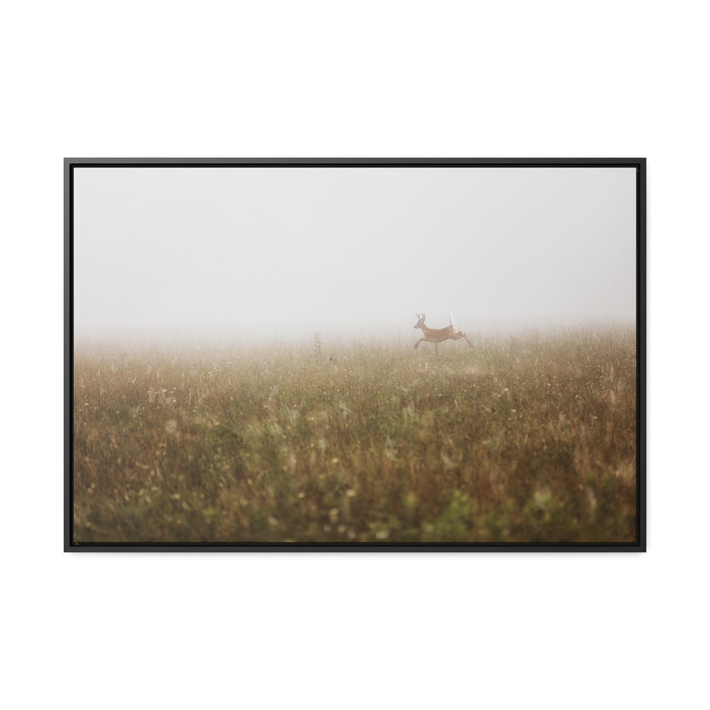 Whitetail Buck Jumping Framed Canvas Art Print