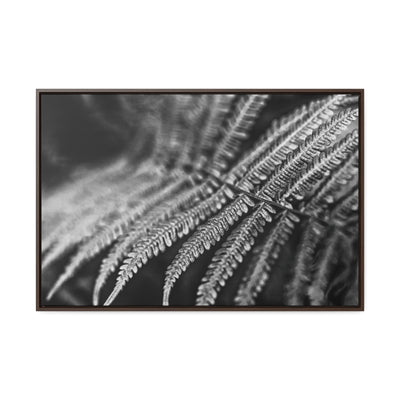 Relaxing Art Black and White Fern Framed Canvas Print